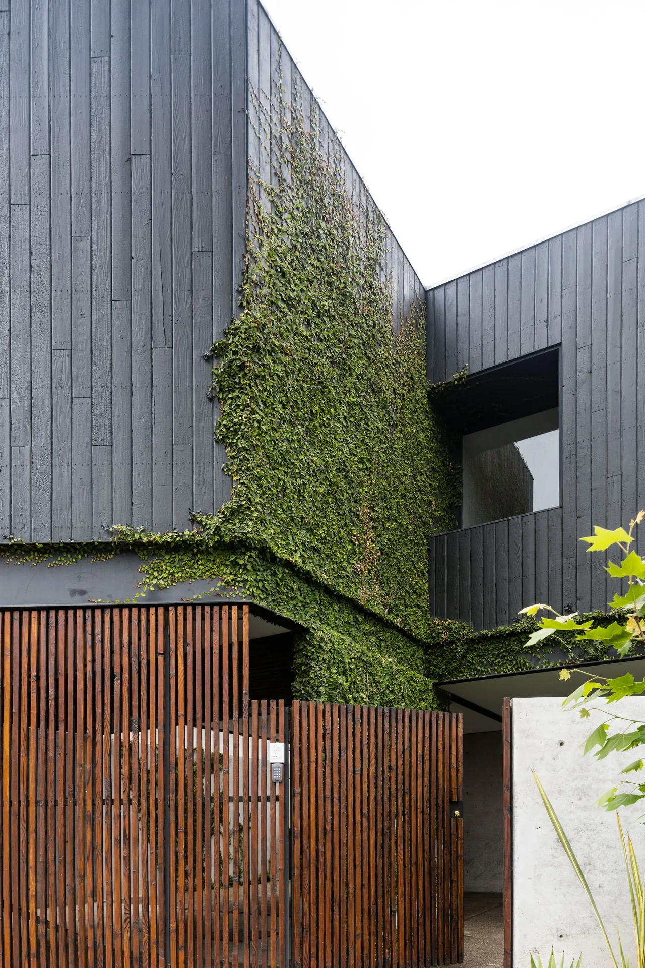 Modern residence features dark wood siding with green ivy and a wooden slat gate at the entry.