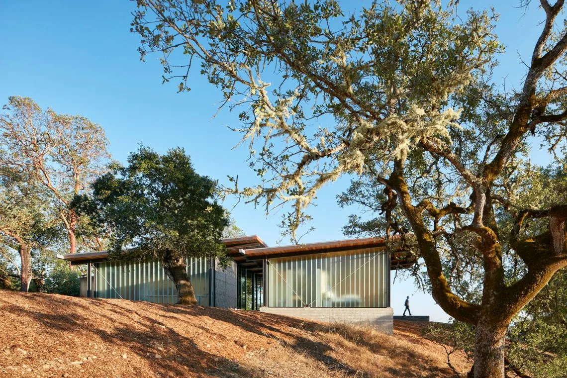 Split Rock Springs Ranch features a modern home with frosted glass panel walls on a wooded hillside.