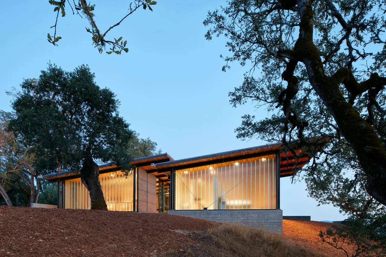 Split Rock Springs Ranch features frosted glass panels and a sloping roofline with overhanging eaves in a woodland environment.