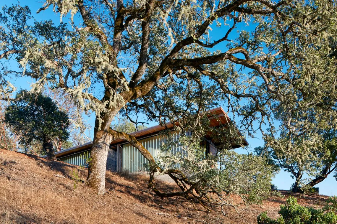 Split Rock Springs Ranch features a modern design with overhanging eaves nestled in a woodland setting.