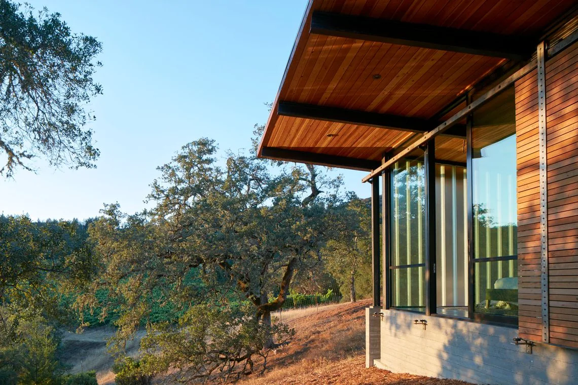 Modern residence features wood siding and large black metal frame windows under a sloping wood ceiling.
