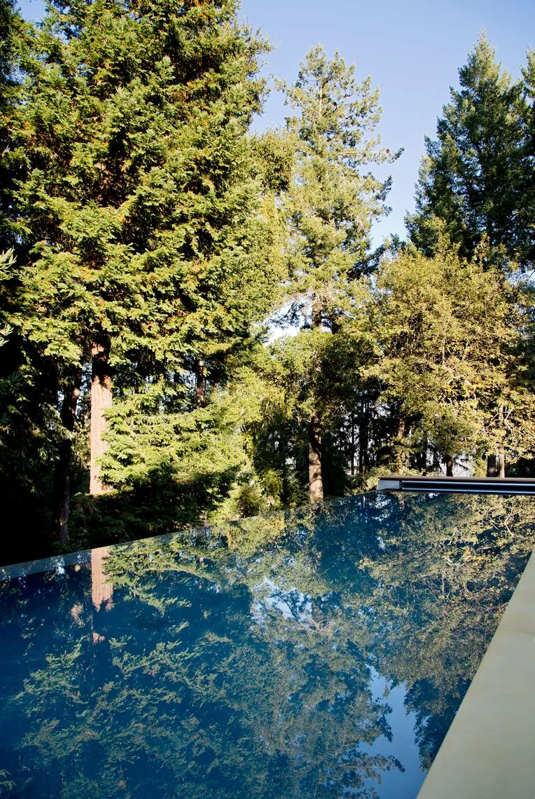 A pool reflects the surrounding tall trees in a forested setting at Sonoma Mountain House.