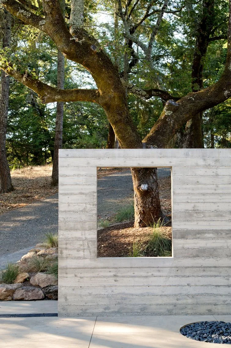 Concrete half wall with a square opening framing a tree in a woodland setting at Sonoma Mountain House.