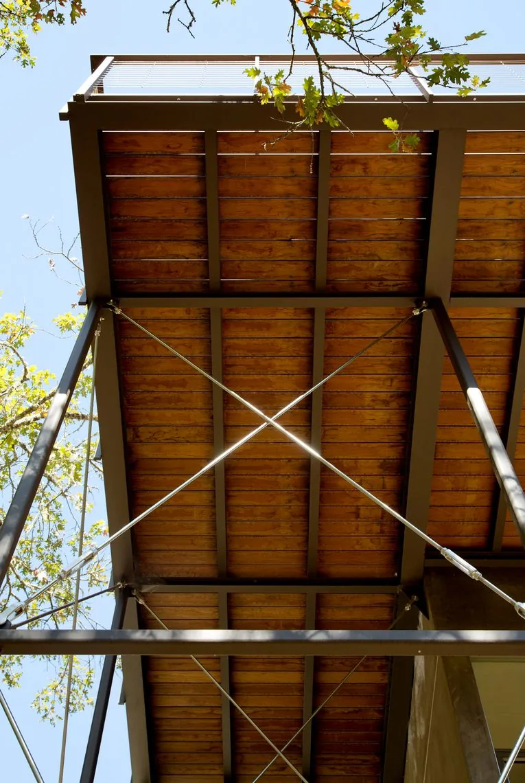 View looking up at the wood-planked deck and metal bracing supporting a raised foundation in a forest setting.