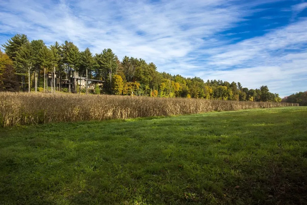 House in the Berkshires set among tall trees with a field in the foreground.