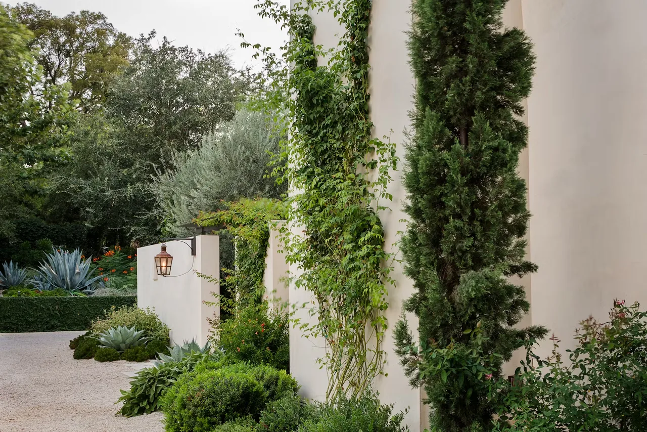 Stucco exterior walls with climbing vines and a rustic lantern on a metal trellis in the landscaped garden of Tarryhill Residence.