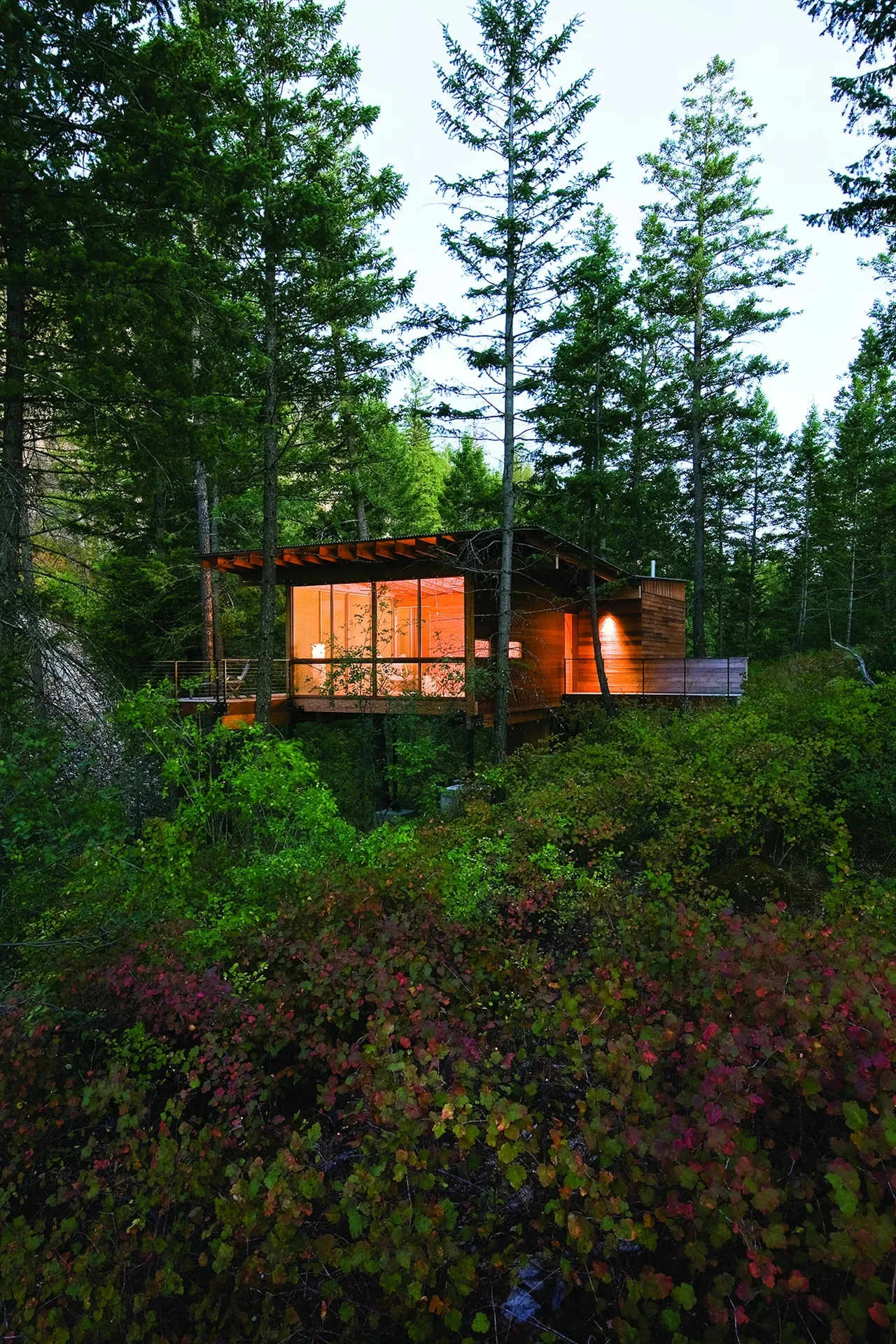 The Cabin on Flathead Lake features a wood exterior and floor-to-ceiling glazing overlooking the forest setting.