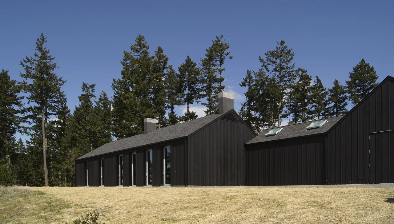 The Island Home + Studio features black wood siding and gable roofs with skylights on the studio section.