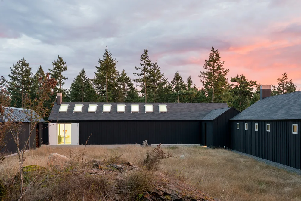 Island Home + Studio in Seattle features a black exterior with vertical siding and a row of skylights.