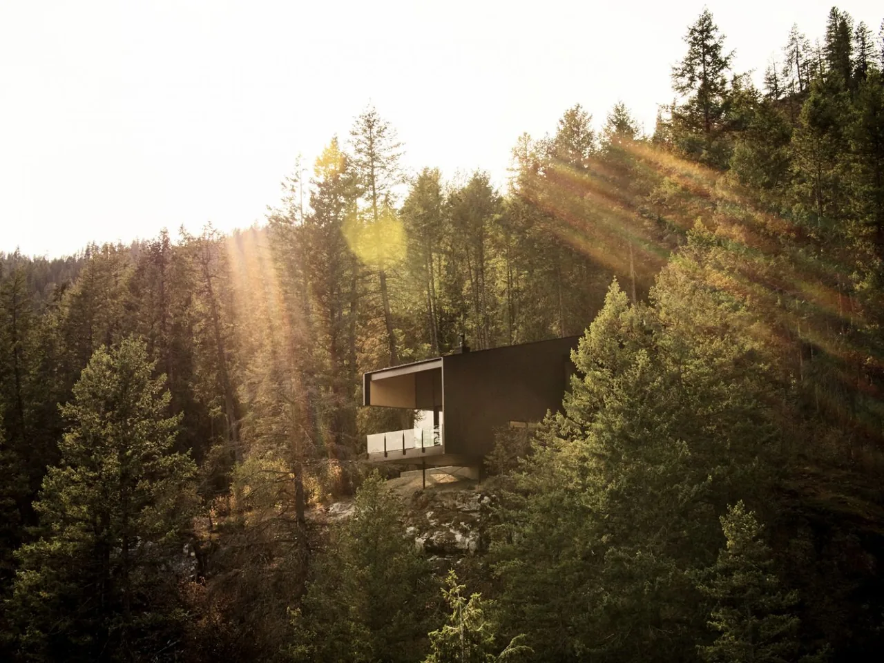 Boundary Point Cabin is situated in a forest setting with a sloped roof and cantilevered design.