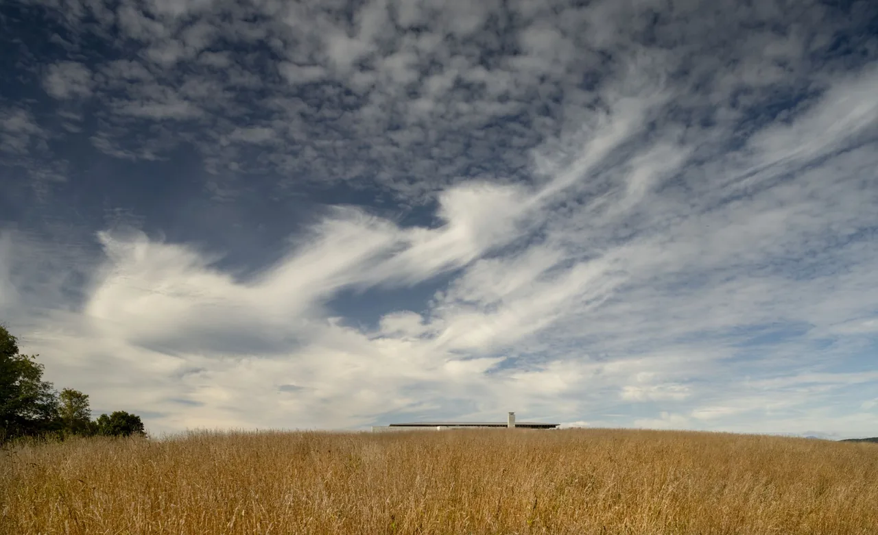 Gallatin Residence features a horizontal roofline blending into the landscape, as seen from afar across tall dry grass.