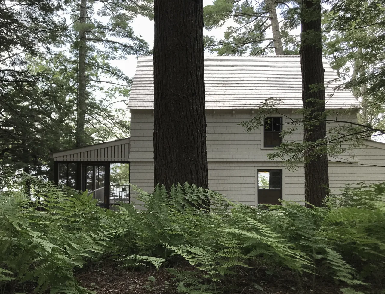 Camden Cottage features shingle siding and a steep pitched roof, nestled in a dense forest with abundant greenery.