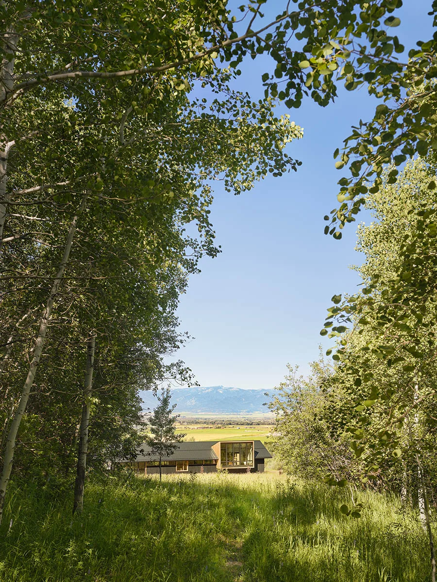 Spring Creek Residence features a projecting window box and black trim windows set in a rural landscape with mountain views.