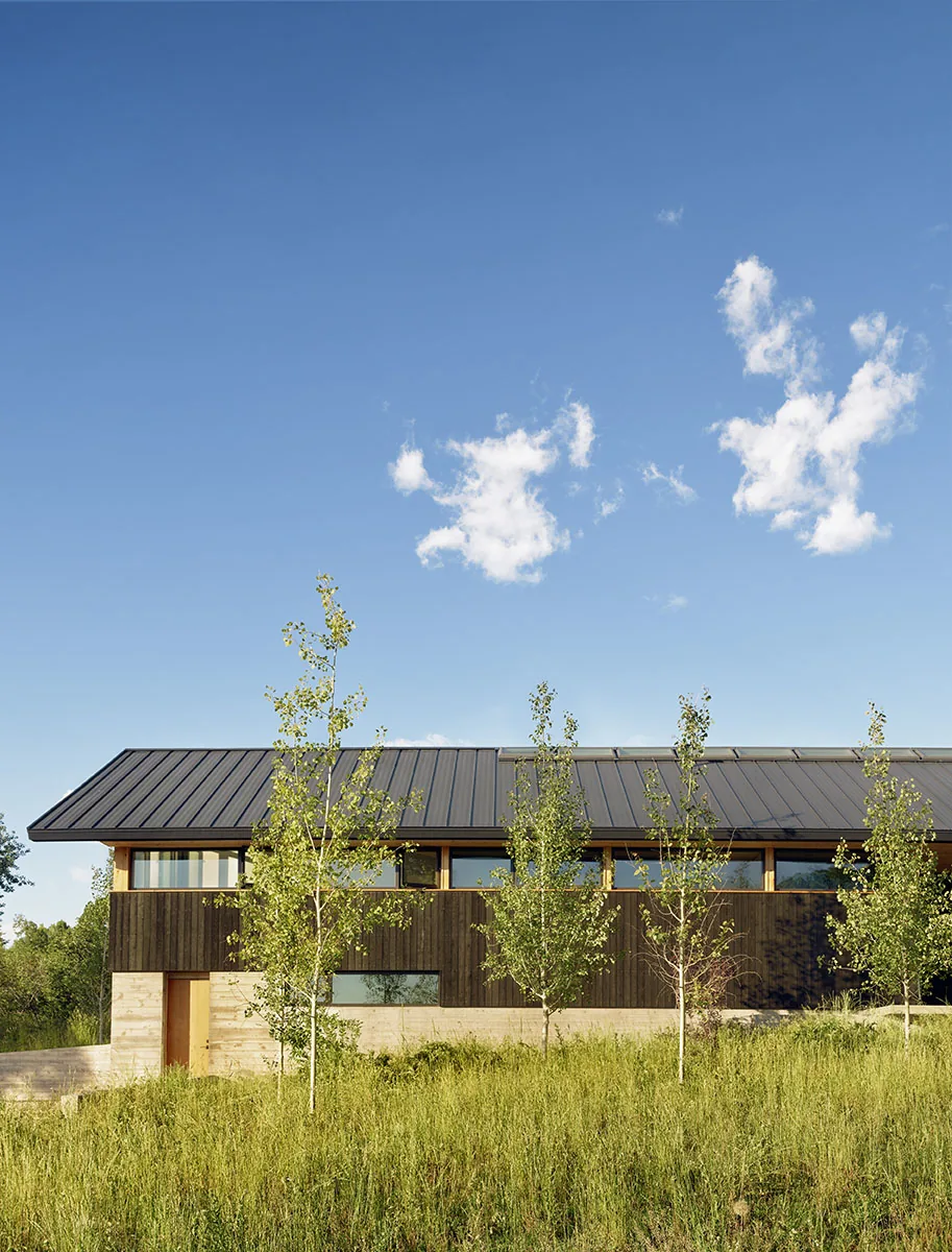 Spring Creek Residence with dark vertical wood siding and a metal roof in a natural grassy landscape.