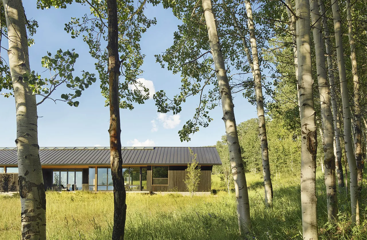 Spring Creek Residence features a black standing seam metal roof in a rural valley setting with birch trees in front.
