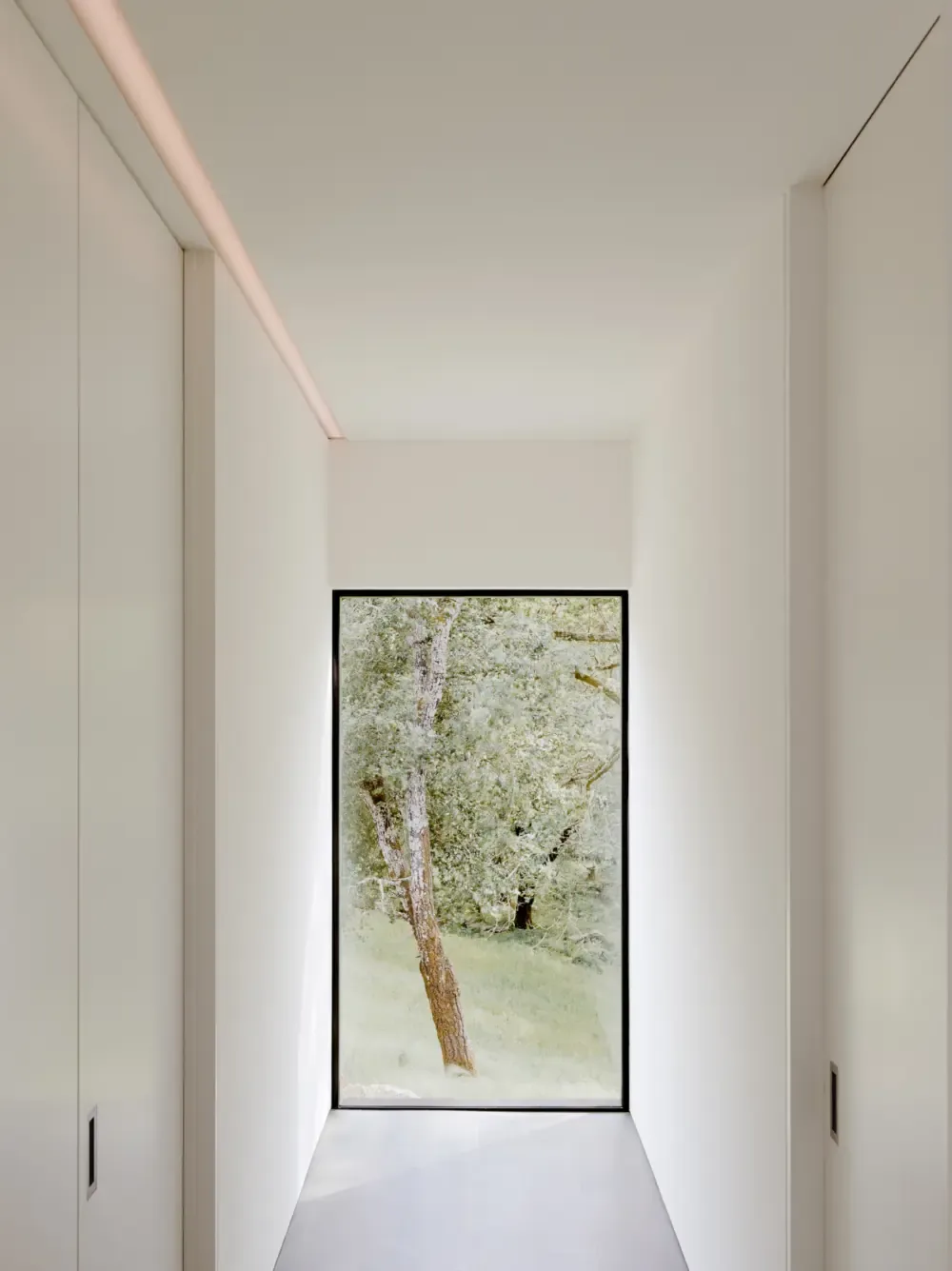 A bright hallway features a floor-to-ceiling black-framed window overlooking a natural outdoor scene.