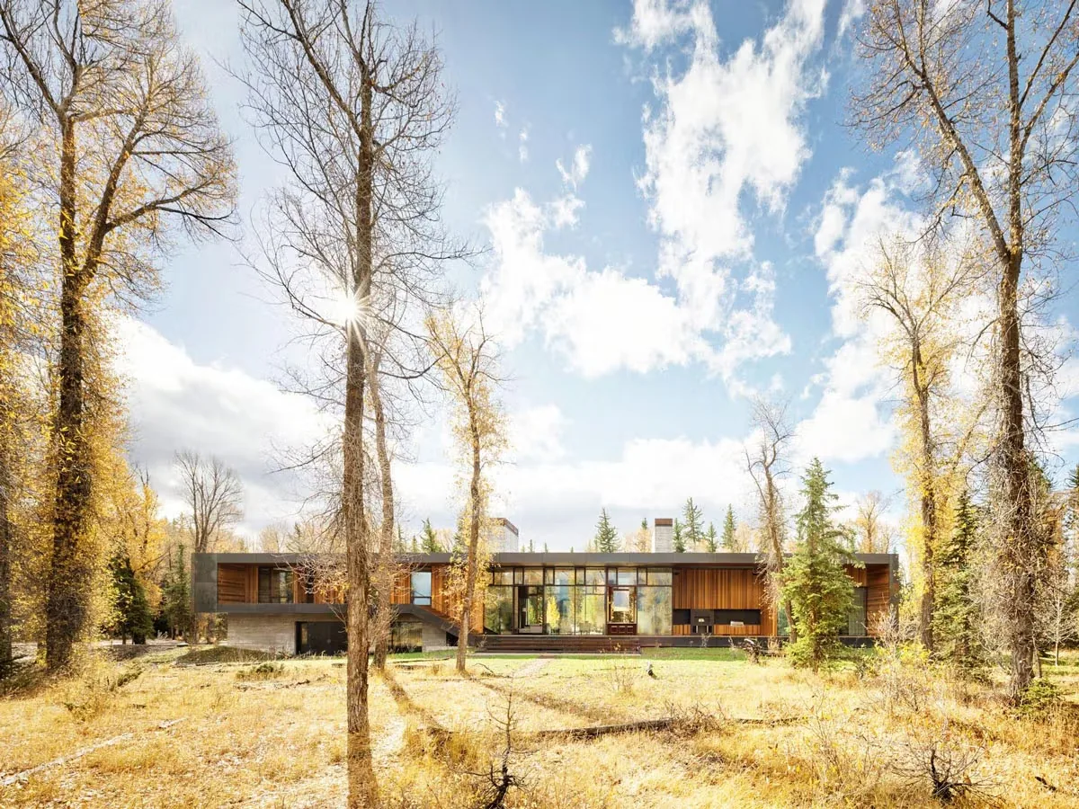 The Caju house by Carney Logan Burke Architects features floor-to-ceiling glazing and wood siding in a forest setting.