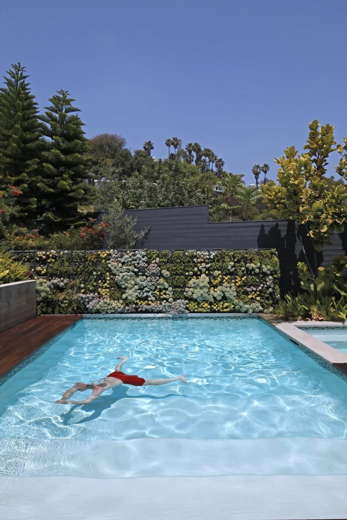 The residential pool at LIVE OAK features a vertical garden living wall with succulents and greenery.