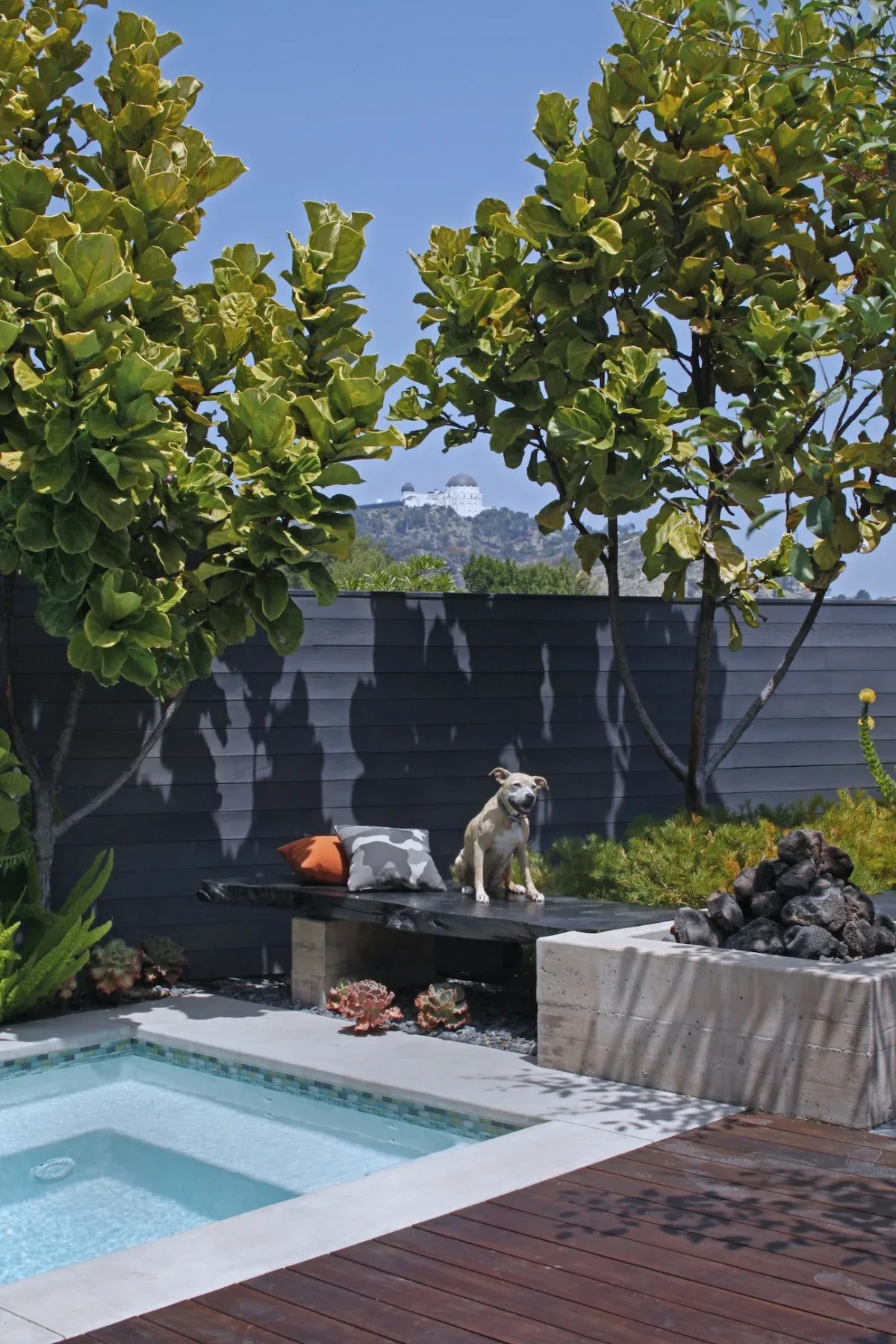 Backyard of the LIVE OAK project features a pool, fire pit, wooden deck, and bench with cushions under trees.