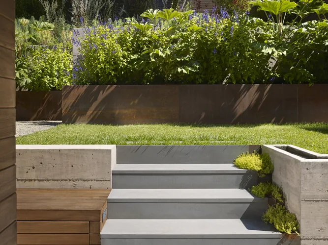 Concrete steps ascend to a grassy area with raised planters featuring abundant greenery and purple flowers.