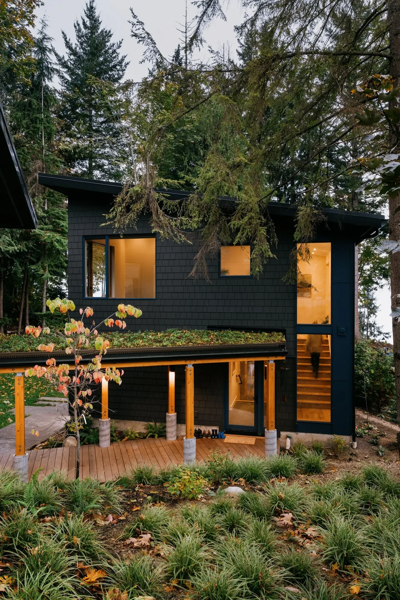 The Edmonds Overlook house features black siding, large windows, and a green roof above the entry porch in a wooded setting.