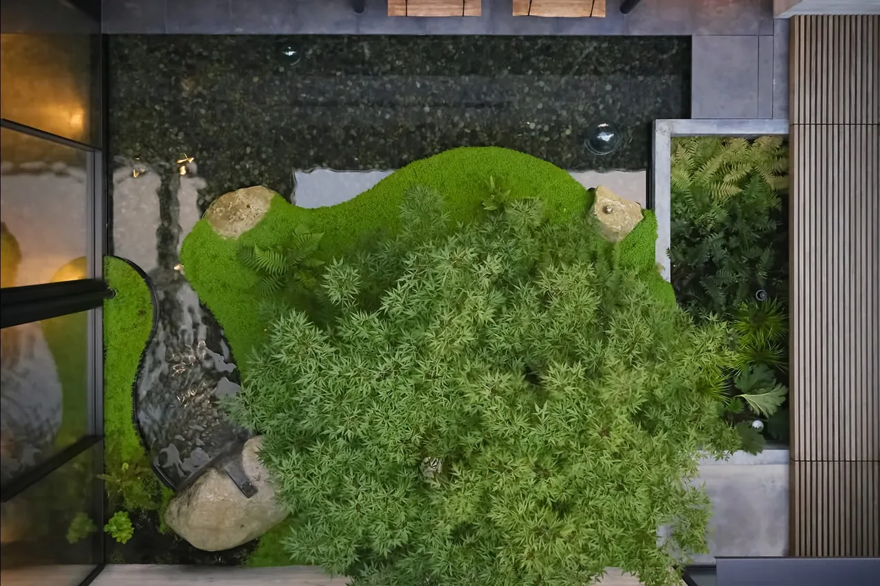 A landscaped courtyard with a pond, various plants, and wood decking as part of a multi-level residence.