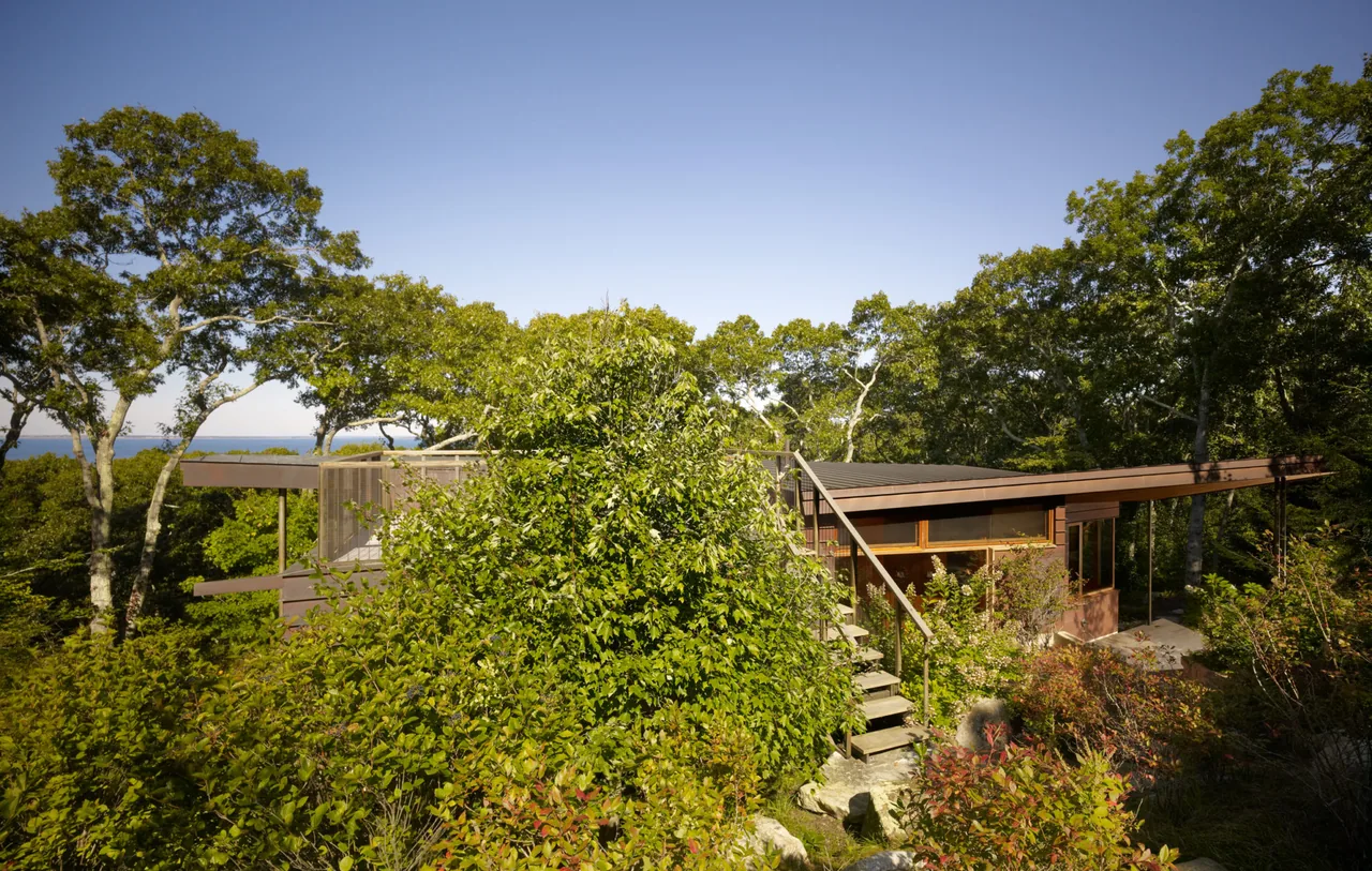 The Chilmark Guest House features a flat roof and extensive wood siding, blending into the wooded landscape.