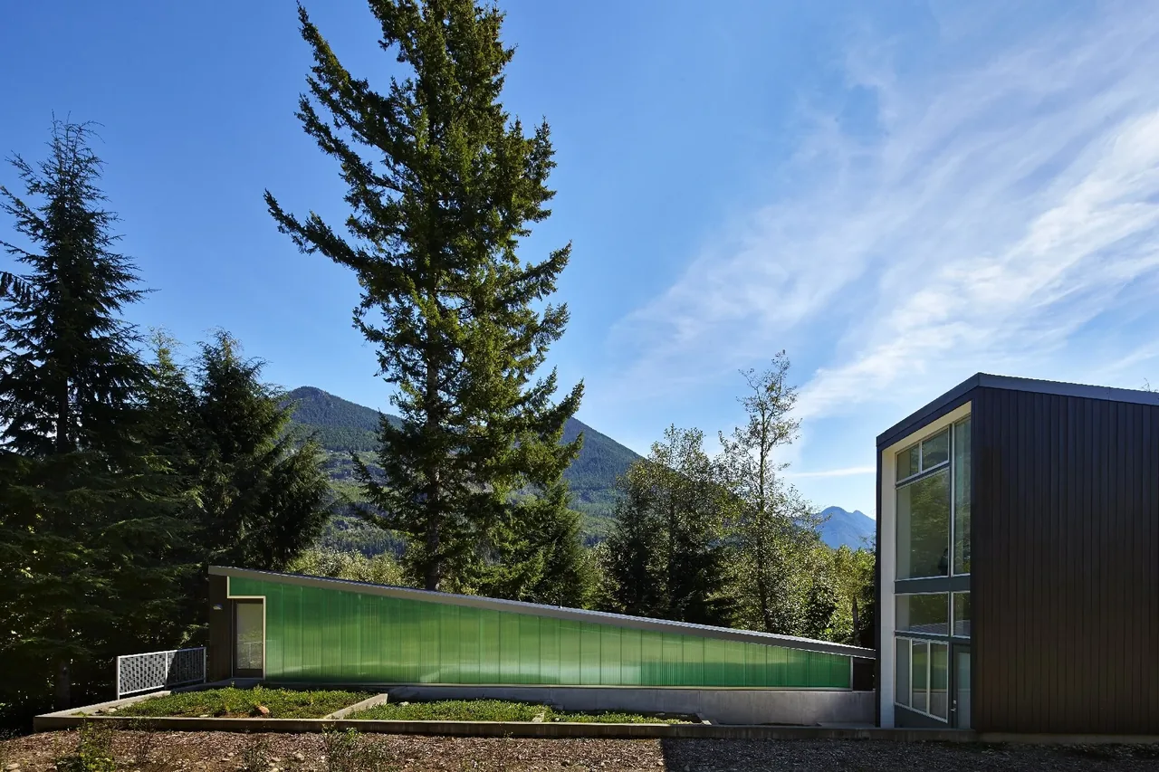 Bear Run Cabin features a sloped green roof and vertical dark wood siding in a forested mountain setting.