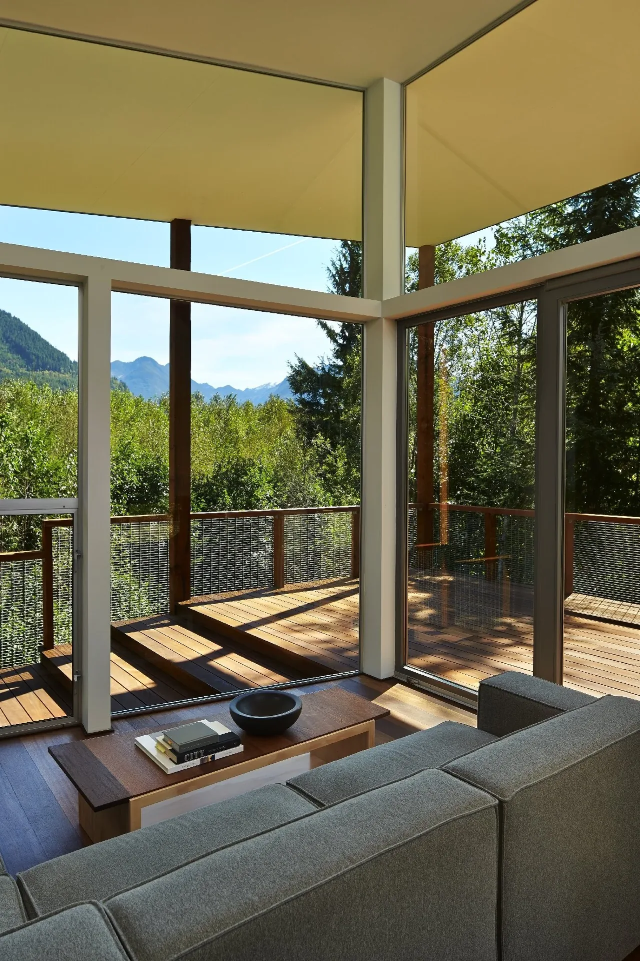 Floor-to-ceiling glazing frames views of a forested mountain landscape from the cabin's living area.