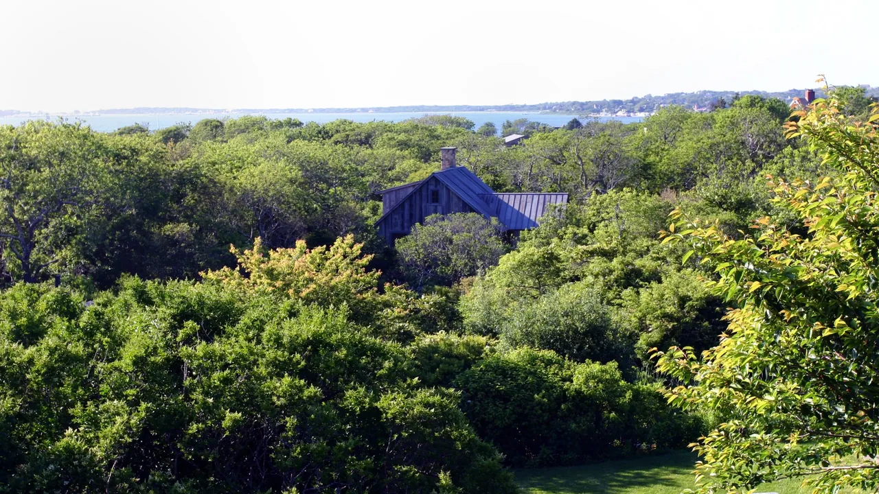 Montauk Guest Cottage is surrounded by lush trees and overlooks a distant water view.
