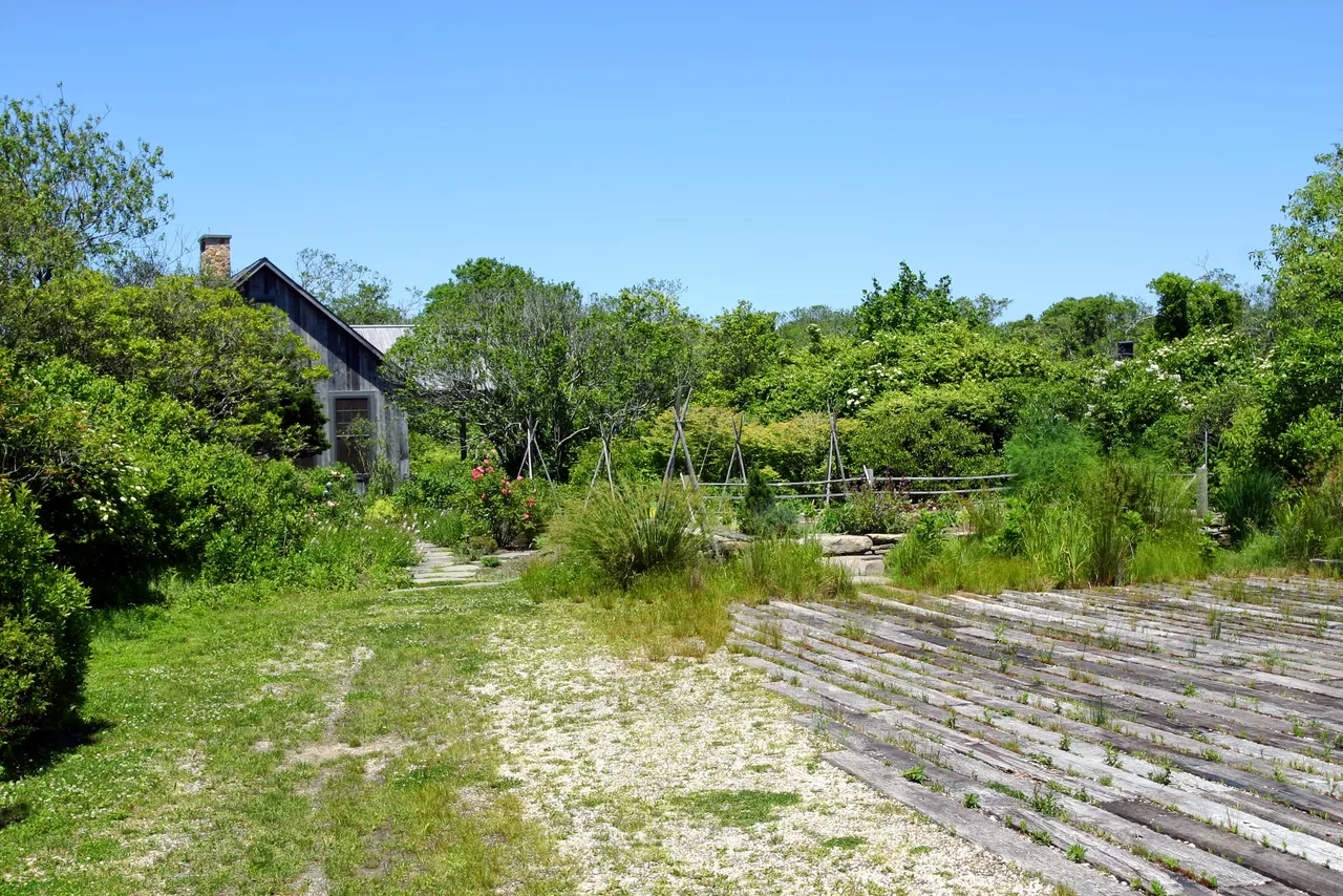 Montauk Guest Cottage features a rustic exterior nestled in lush landscaping under a clear blue sky.