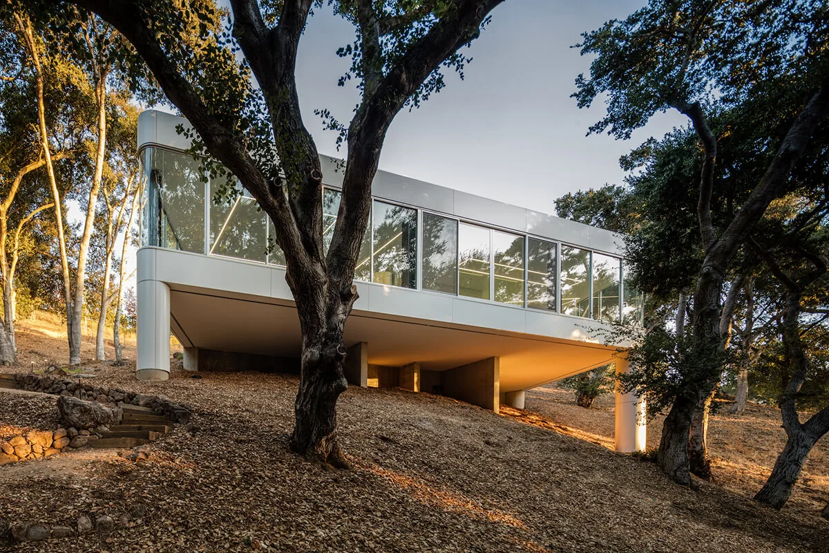 Pam & Paul's House by Craig Steely Architecture is a modern home elevated on concrete supports with extensive floor-to-ceiling glazing showing interior lighting.