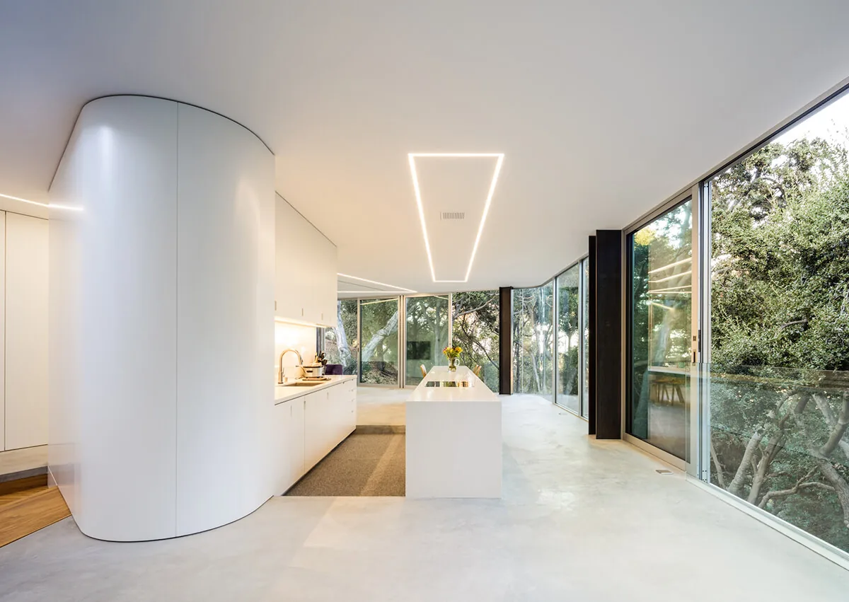 Pam & Paul's House by Craig Steely Architecture features a sleek white kitchen with a curved wall and floor-to-ceiling windows framing woodland views.