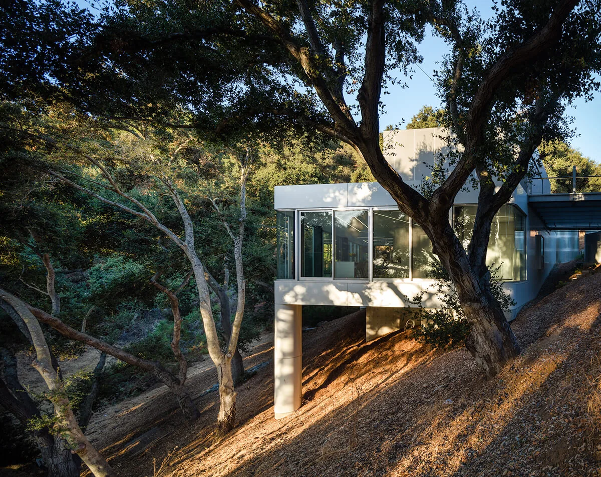 Pam & Paul's House by Craig Steely Architecture features a modern elevated structure with floor-to-ceiling glazing on a steep site.