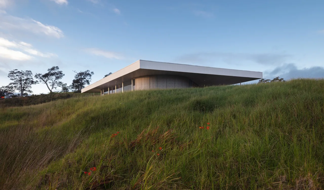 Musubi House features a minimalist flat roof design on a hillside setting with concrete exterior walls.
