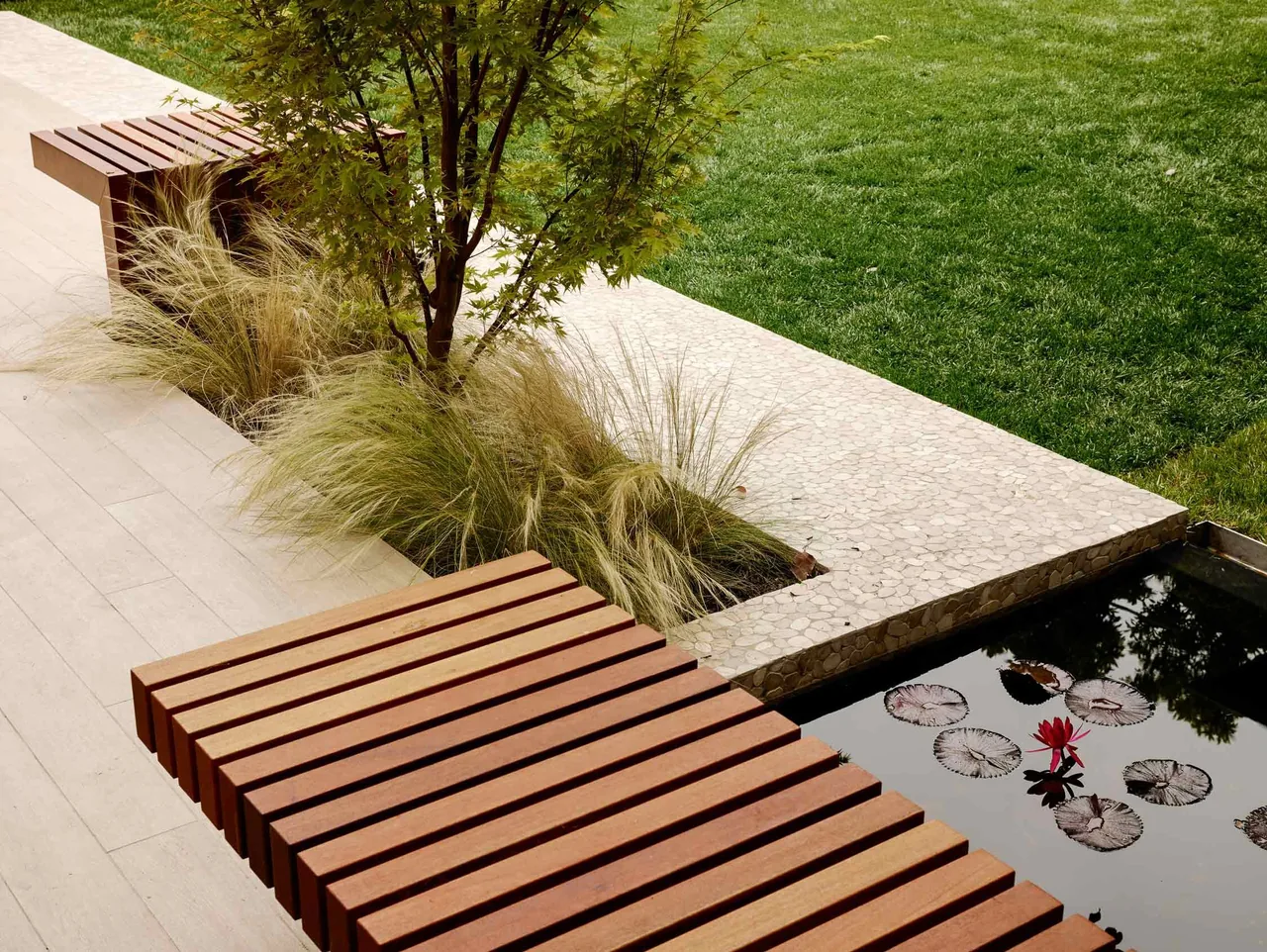 Outdoor wooden benches around a planted area with ornamental grass and a small tree near a water feature with lily pads