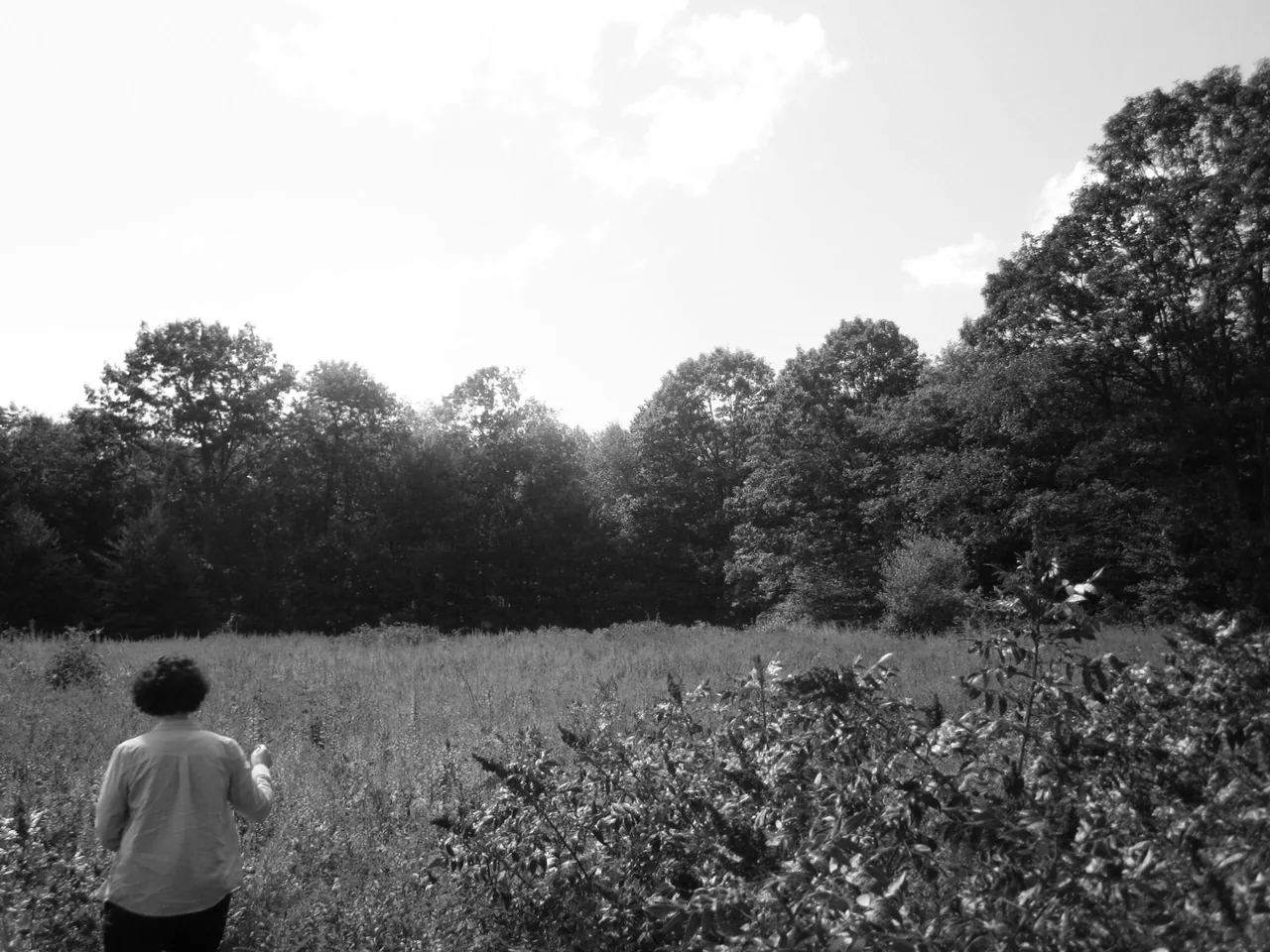 Person in a field facing a dense tree line, shown in black and white.