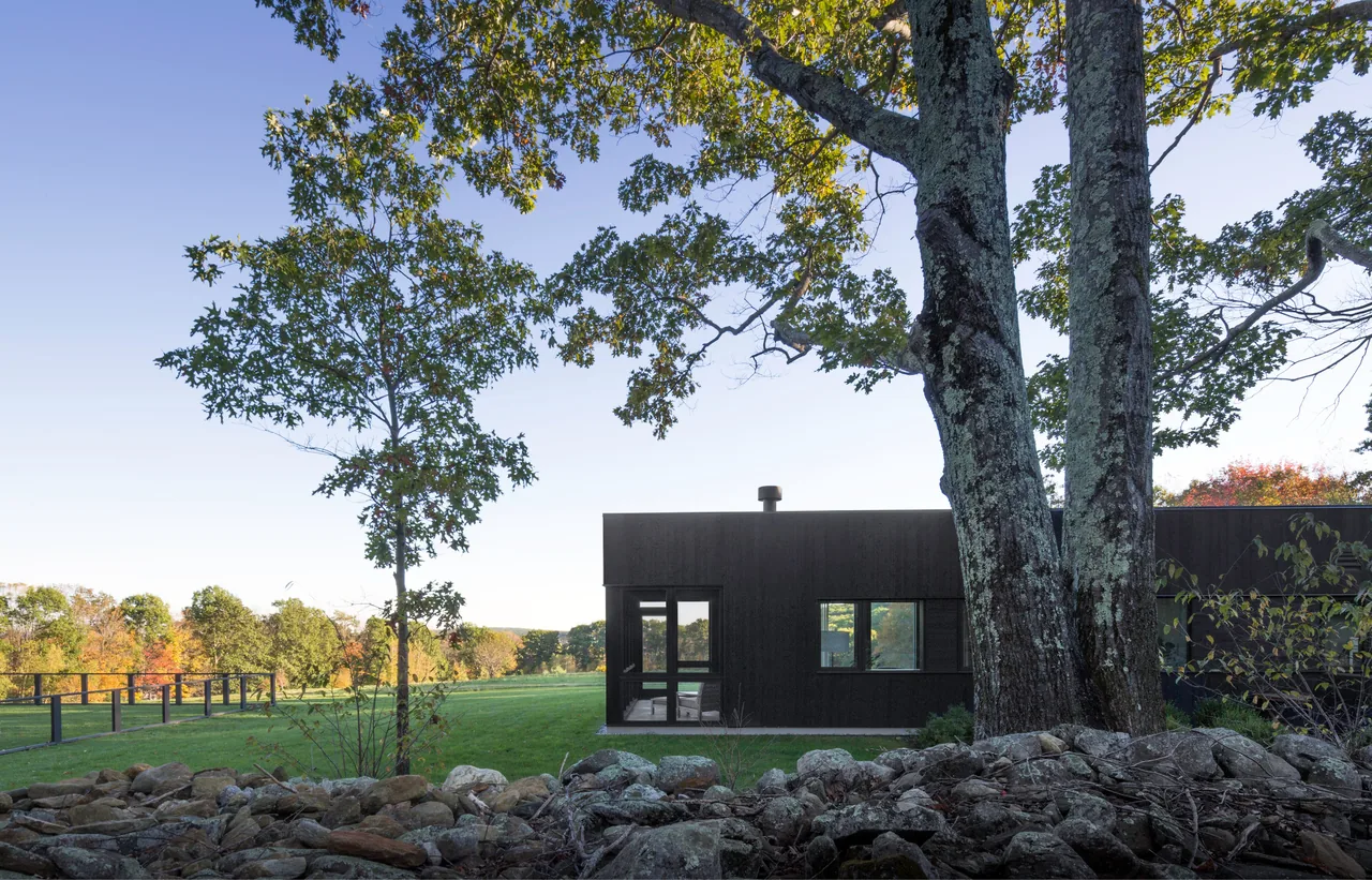 Sackett Hill House by Deborah Berke & Partners features a dark wood exterior with rectangular windows set in a natural landscape.