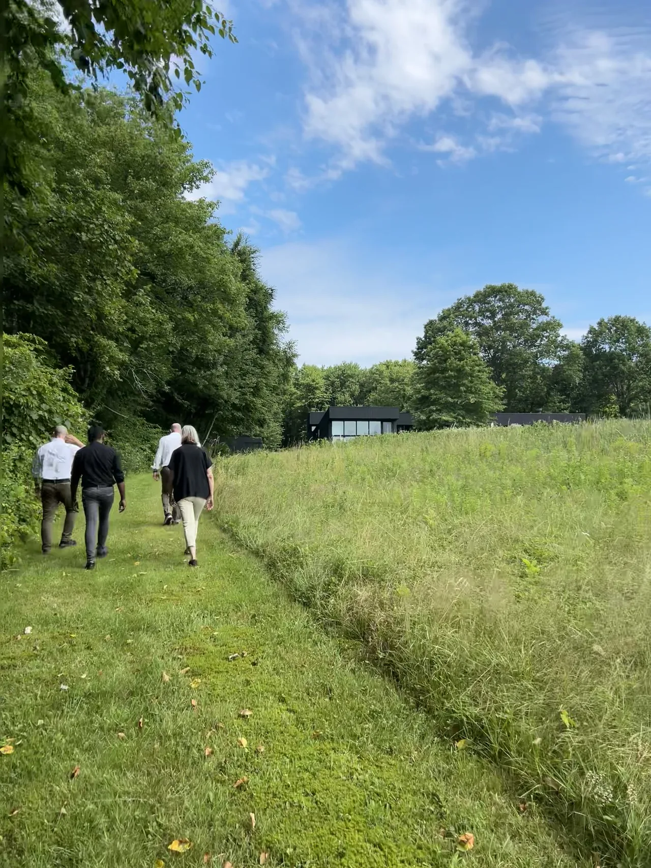View of Sackett Hill House from a grassy path at the forest edge showing its black rectangular windows and natural landscape.