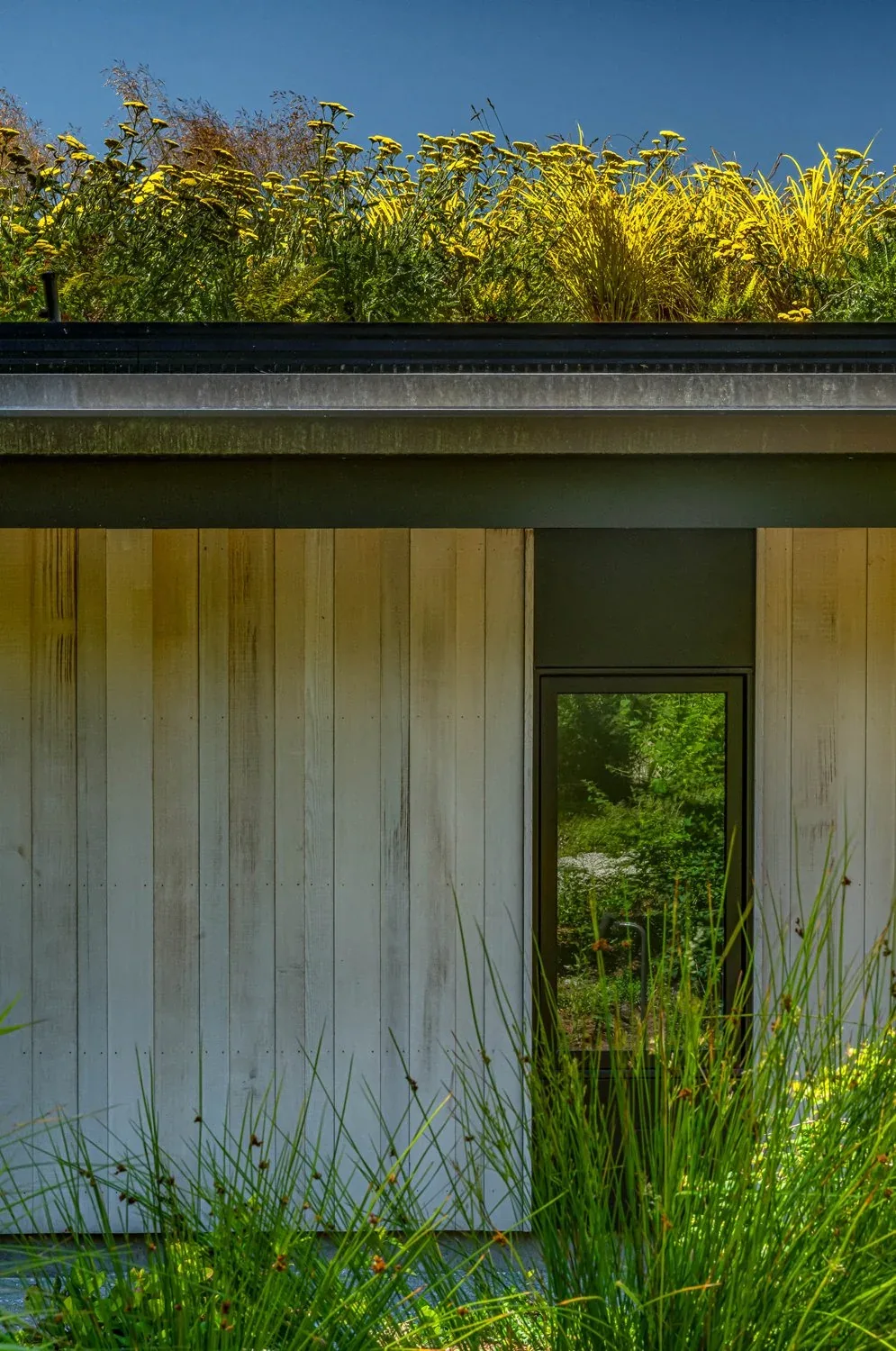Exterior detail of Creek House shows wood siding, black-framed door, and a planted green roof with yellow flowering plants.