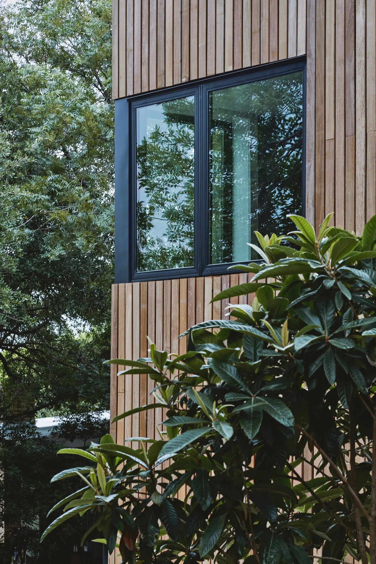 Exterior corner of Jesse Street House shows vertical wood siding and black framed windows reflecting trees.