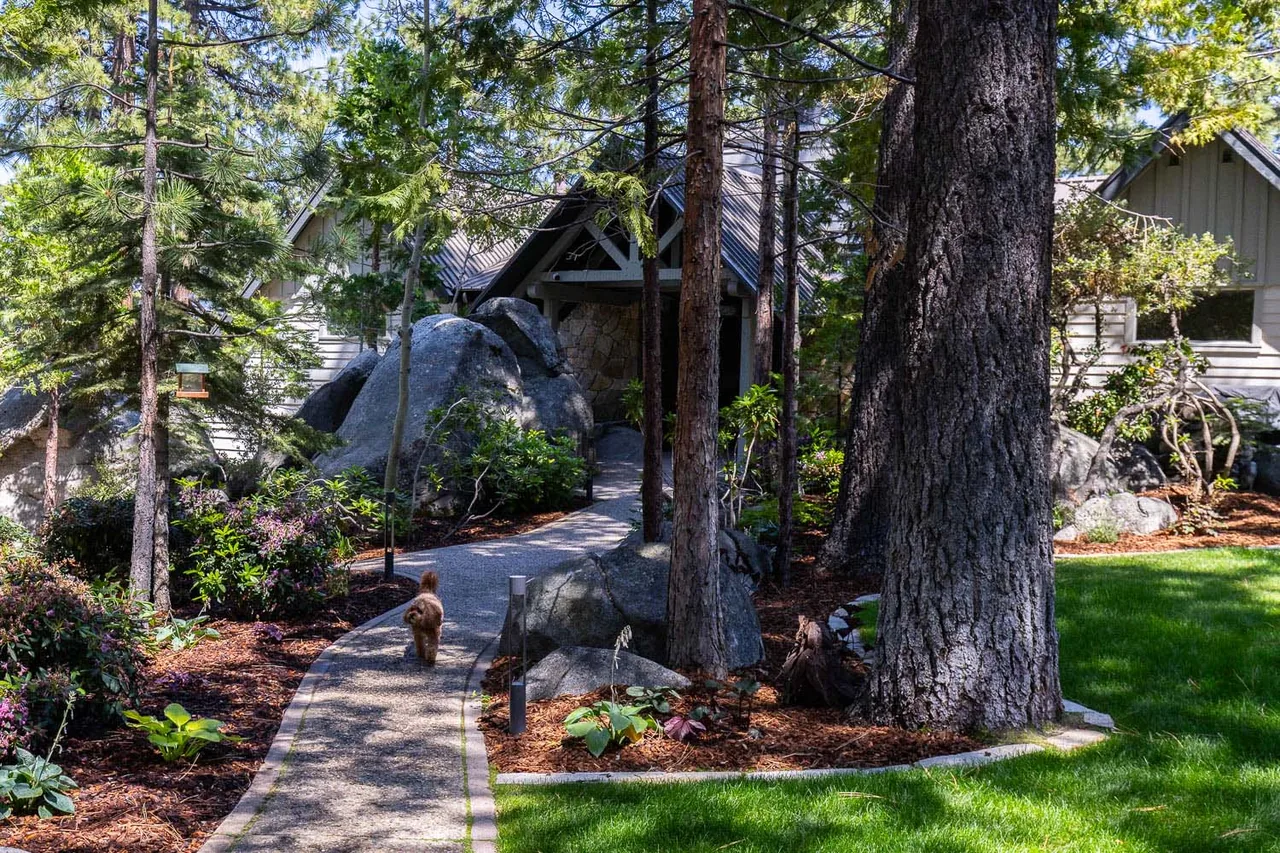 Pathway in a shaded landscape with mature trees and boulders leads to the front entry of the lodge.