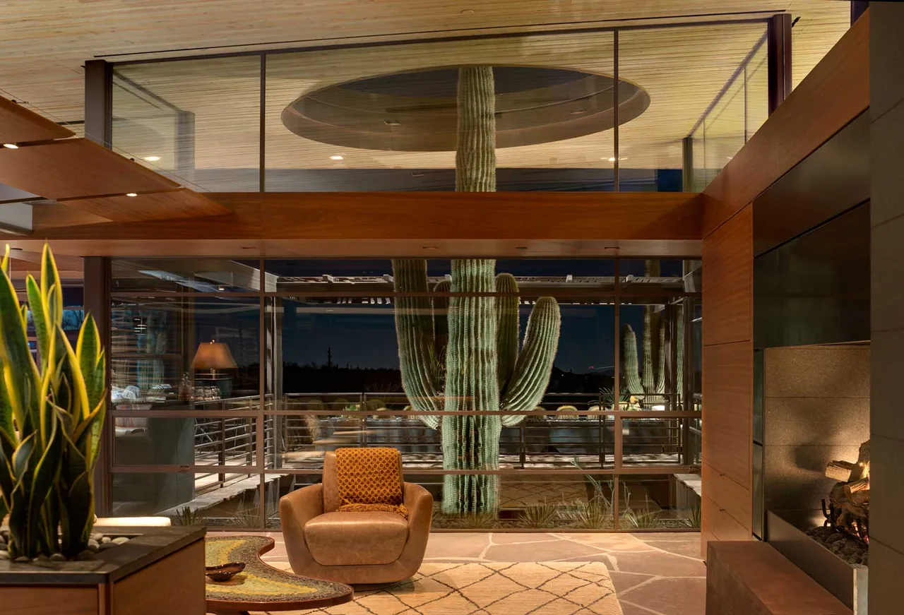 Living area with floor-to-ceiling glazing framing a large saguaro cactus outside at night.