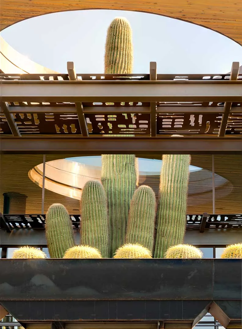 Saguaro Ridge