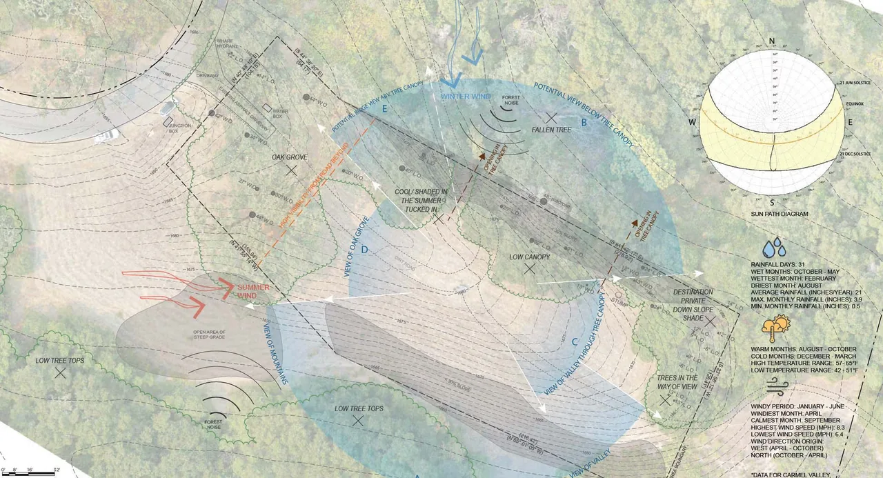 Site analysis diagram depicting tree canopy, wind directions, and sun path for Stone Villa project.