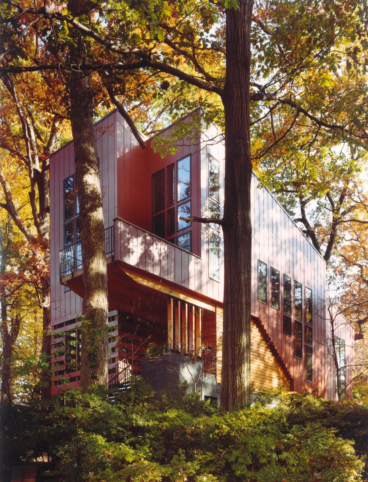 Perch House features metal siding and large windows, elevated within a wooded lot in Philadelphia.