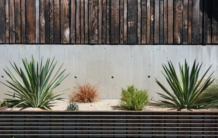 Weathered vertical wood siding above a concrete planter with a mix of desert plants and ornamental grasses.