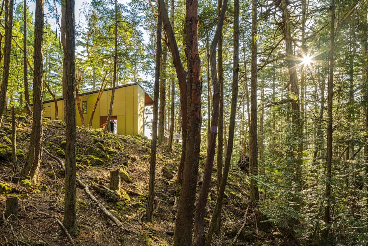 A modern cabin with a sloped roof sits on a mossy forest hillside with sunlight streaming through tall trees.