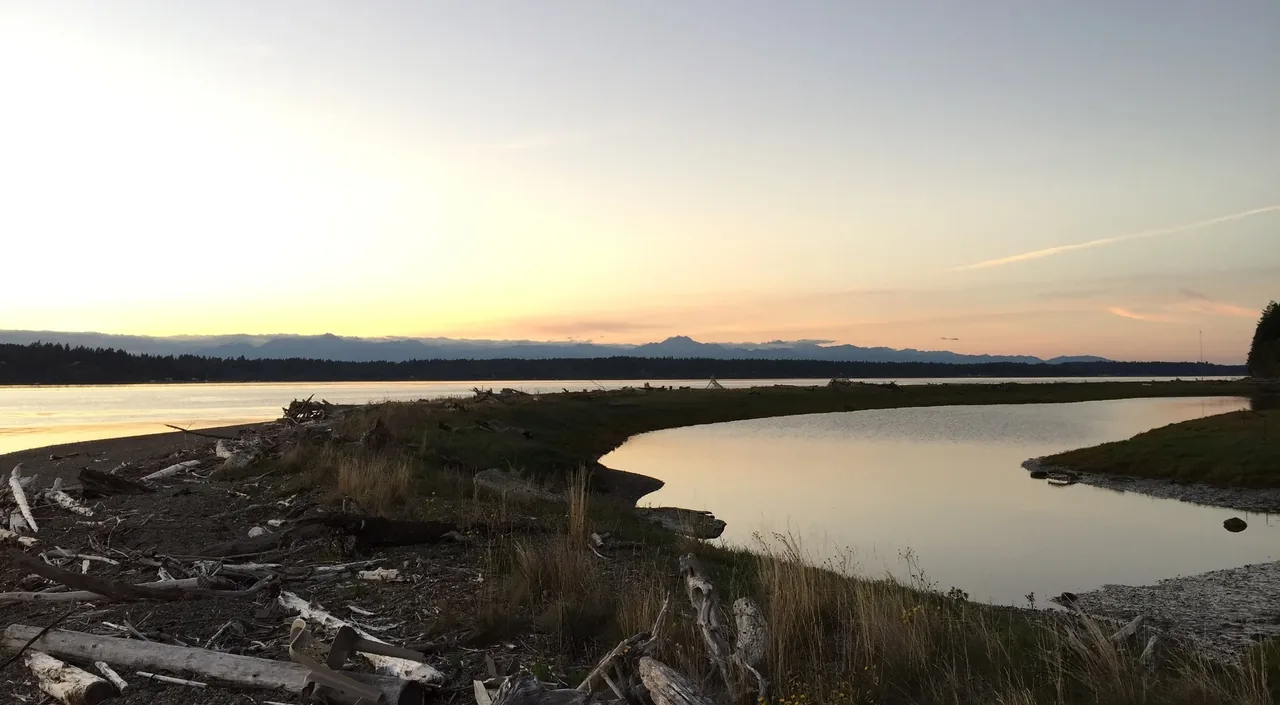 Natural shoreline of a cabin lakefront site at sunset showing driftwood and calm water.