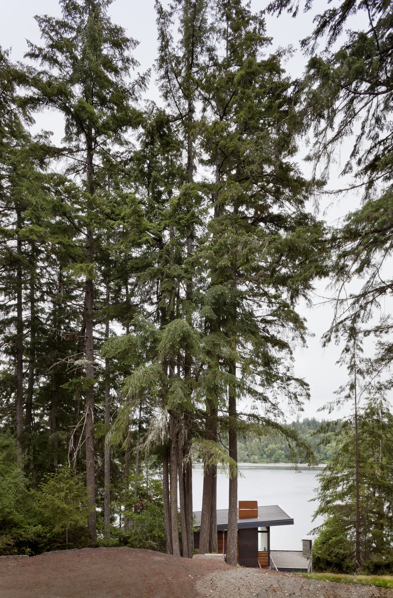 Herron Island Cabin by First Lamp Architecture Construction with flat roof and wood siding, nestled among tall trees overlooking a lake.
